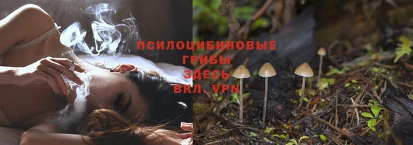 круглые Аркадак