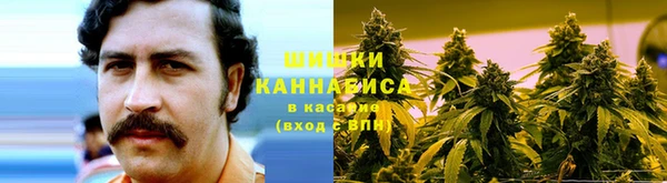 сатива Арсеньев