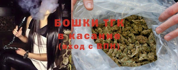 сатива Арсеньев