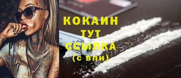 сатива Арсеньев